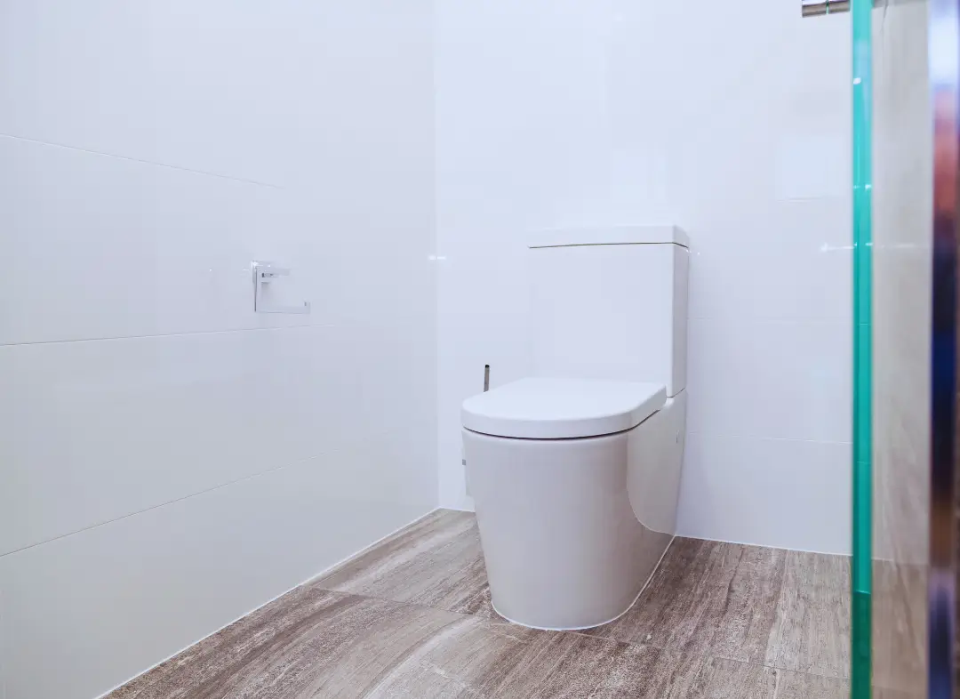 Remplacement de wc Mazan